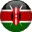 Kenya flag icon