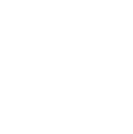 Customizable Controls