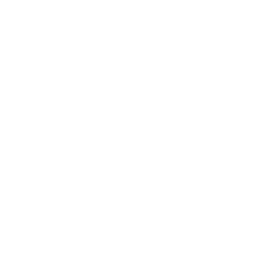 Disposable Single-Use Cards