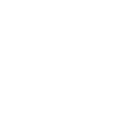 Security Architecture
