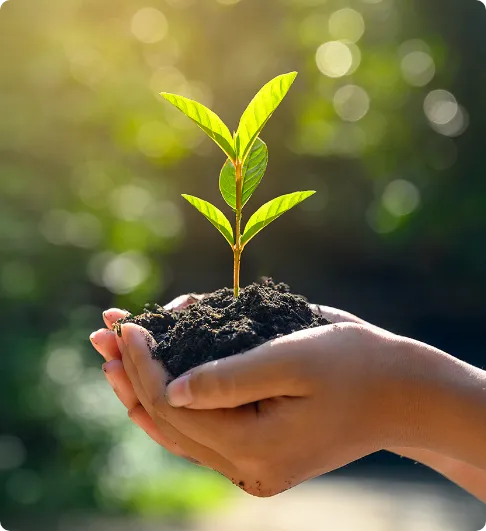 a pair of hands holding soil with a small plant growing out of it